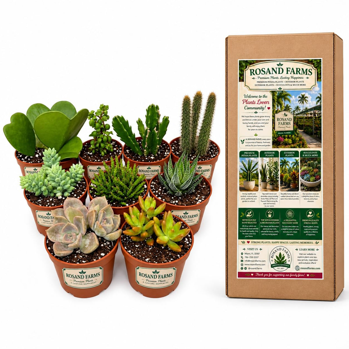 Rosand Farms Live Succulents and Cacti Collection, 9 Count, 4-inch Pots