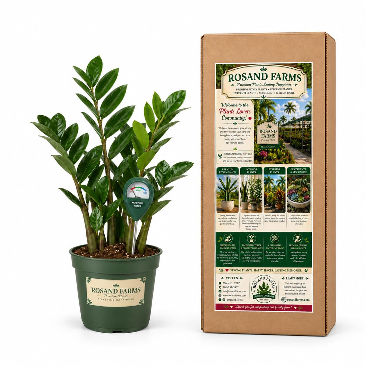Rosand Farms ZZ Plant Bundle, 6-inch Pot, with Moisture Meter Included
