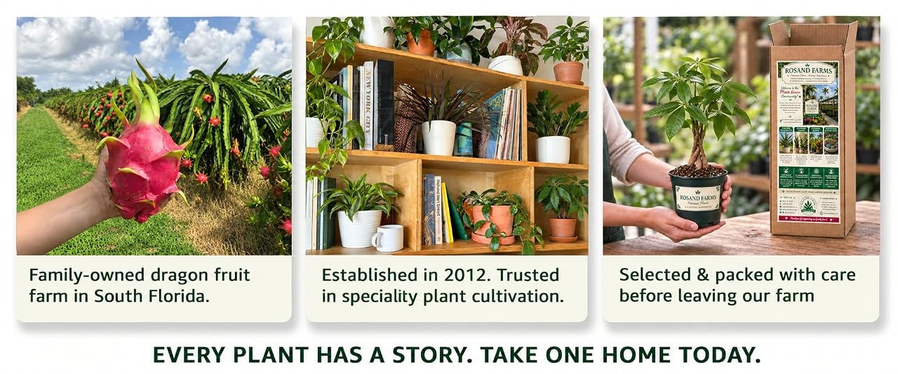Every plant has a story. Take one home today. Family-owned dragon fruit farm in South Florida. Established in 2012. Selected and packed with care.